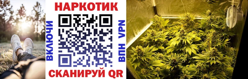 Псилоцибиновые грибы Козловка