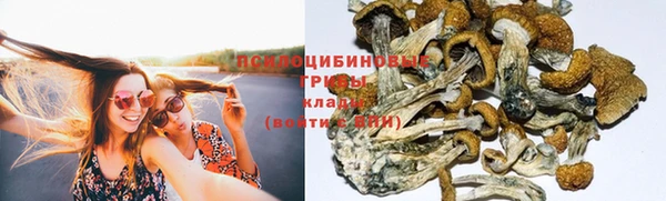 тгк Алексин
