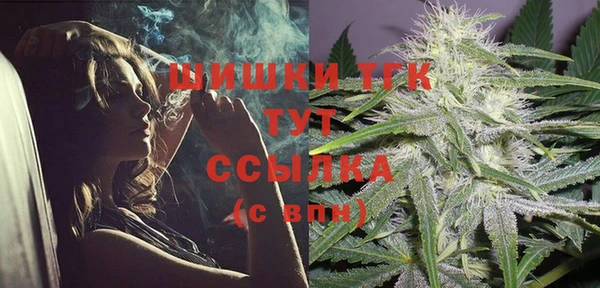 тгк Алексин