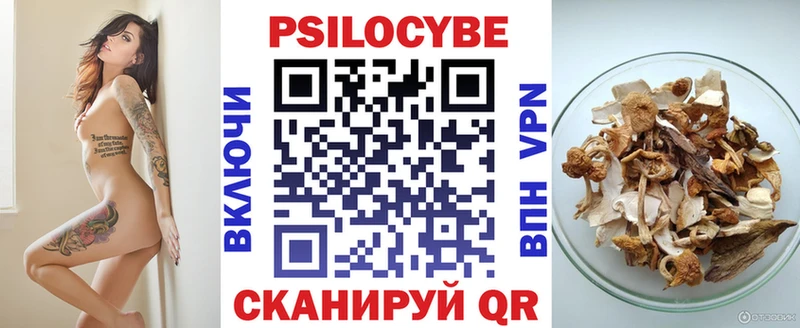 Псилоцибиновые грибы Cubensis  Козловка 