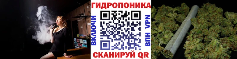 Бошки марихуана план  продажа наркотиков  Козловка 